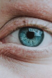 eyeball