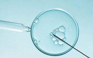 IVF