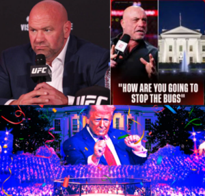 MMA