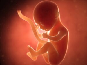 baby123
