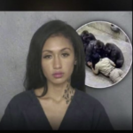 Gorillas in the midst… of allegations